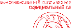 Баскетбольный клуб &laquo;Спартак-Приморье&raquo; (Приморский край) | Официальный сайт